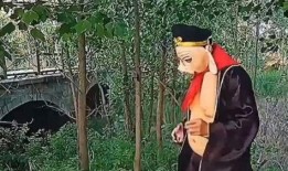 爆料搞笑猪八戒视频,爆笑瞬间，笑出腹肌！